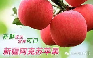 微送水果工廠店12家門店同慶盛典 每日供應(yīng)依舊秒光，水果為何至此搶購大戰(zhàn)？
