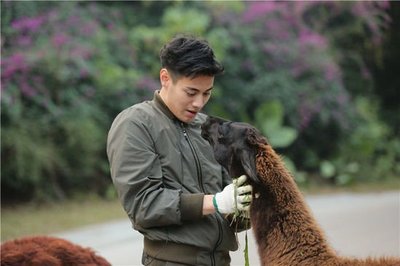 《奇妙的朋友》 收視蟬聯冠軍，飼養員與動物共成長