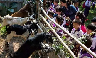 番禺喜出望外生態樂園 超值野炊套餐，全家共享秋日田園之樂